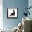 Fluffy Black Kitten, 12 Weeks Old, Stretching-Mark Taylor-Framed Photographic Print displayed on a wall