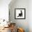 Fluffy Black Kitten, 12 Weeks Old, Stretching-Mark Taylor-Framed Photographic Print displayed on a wall