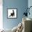 Fluffy Black Kitten, 12 Weeks Old, Stretching-Mark Taylor-Framed Photographic Print displayed on a wall