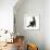 Fluffy Black Kitten, 12 Weeks Old, Stretching-Mark Taylor-Framed Photographic Print displayed on a wall