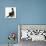 Fluffy Black Kitten, 12 Weeks Old, Stretching-Mark Taylor-Mounted Photographic Print displayed on a wall