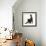 Fluffy Black Kitten, 12 Weeks Old, Stretching-Mark Taylor-Framed Photographic Print displayed on a wall