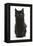 Fluffy Black Kitten, 9 Weeks Old, Sitting-Mark Taylor-Framed Premier Image Canvas