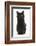 Fluffy Black Kitten, 9 Weeks Old, Sitting-Mark Taylor-Framed Photographic Print