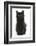 Fluffy Black Kitten, 9 Weeks Old, Sitting-Mark Taylor-Framed Photographic Print