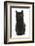 Fluffy Black Kitten, 9 Weeks Old, Sitting-Mark Taylor-Framed Photographic Print