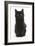 Fluffy Black Kitten, 9 Weeks Old, Sitting-Mark Taylor-Framed Photographic Print