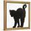 Fluffy Black Kitten, 9 Weeks Old, Stretching with Arched Back-Mark Taylor-Framed Premier Image Canvas