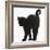 Fluffy Black Kitten, 9 Weeks Old, Stretching with Arched Back-Mark Taylor-Framed Photographic Print