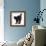 Fluffy Black Kitten, 9 Weeks Old, Stretching with Arched Back-Mark Taylor-Framed Photographic Print displayed on a wall