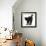 Fluffy Black Kitten, 9 Weeks Old, Stretching with Arched Back-Mark Taylor-Framed Photographic Print displayed on a wall