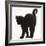 Fluffy Black Kitten, 9 Weeks Old, Stretching with Arched Back-Mark Taylor-Framed Photographic Print