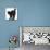 Fluffy Black Kitten, 9 Weeks Old, Stretching with Arched Back-Mark Taylor-Mounted Photographic Print displayed on a wall