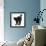 Fluffy Black Kitten, 9 Weeks Old, Stretching with Arched Back-Mark Taylor-Framed Photographic Print displayed on a wall