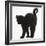 Fluffy Black Kitten, 9 Weeks Old, Stretching with Arched Back-Mark Taylor-Framed Photographic Print