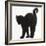 Fluffy Black Kitten, 9 Weeks Old, Stretching with Arched Back-Mark Taylor-Framed Photographic Print