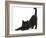 Fluffy Black Kitten, 9 Weeks, Stretching-Mark Taylor-Framed Photographic Print