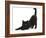 Fluffy Black Kitten, 9 Weeks, Stretching-Mark Taylor-Framed Photographic Print