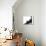 Fluffy Black Kitten, 9 Weeks, Stretching-Mark Taylor-Mounted Photographic Print displayed on a wall