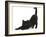 Fluffy Black Kitten, 9 Weeks, Stretching-Mark Taylor-Framed Photographic Print