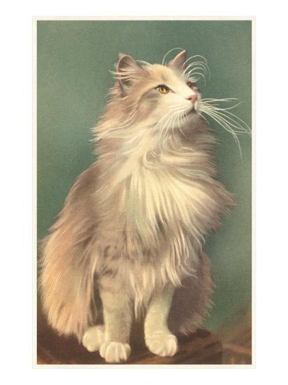 Fluffy Cat Art Print by | Art.com