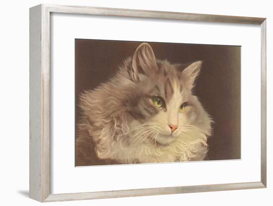 Fluffy Cat-null-Framed Art Print