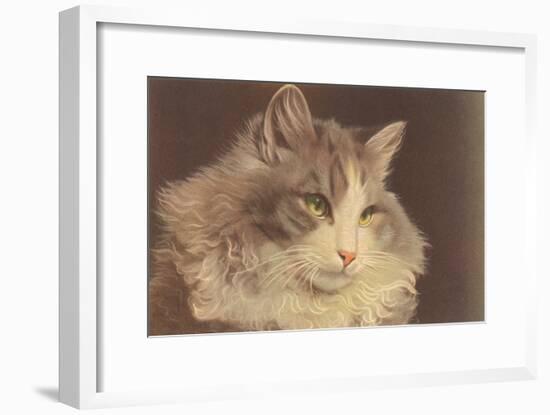 Fluffy Cat-null-Framed Art Print