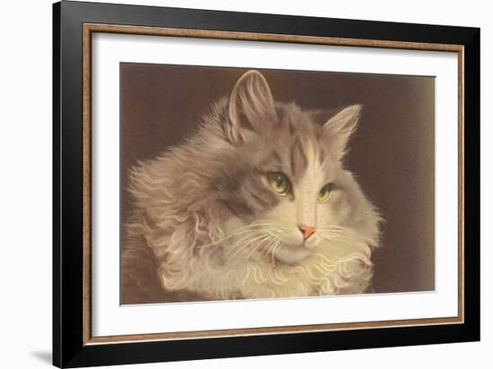 Fluffy Cat-null-Framed Art Print