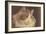 Fluffy Cat-null-Framed Art Print