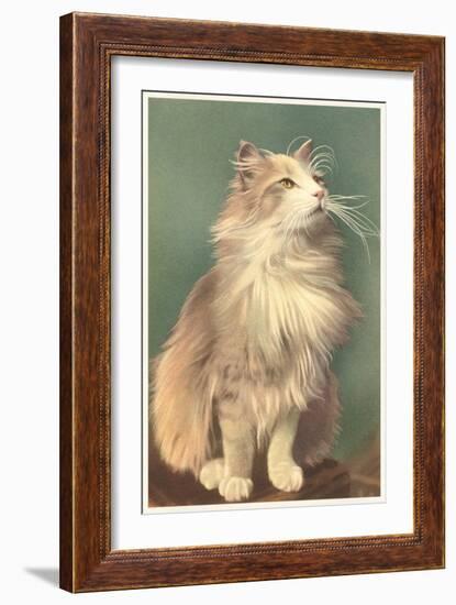 Fluffy Cat-null-Framed Art Print