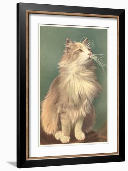 Fluffy Cat-null-Framed Art Print