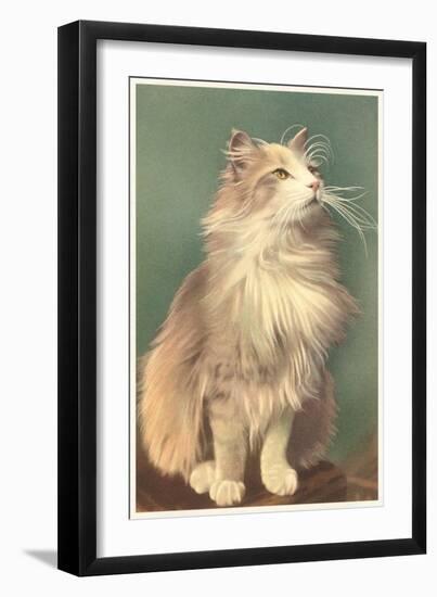 Fluffy Cat--Framed Art Print