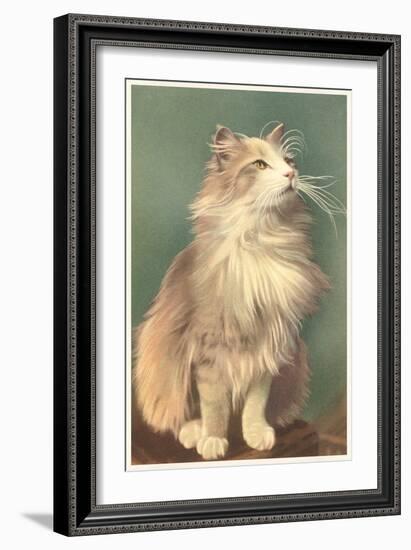 Fluffy Cat-null-Framed Art Print