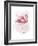 Fluffy Flamingo 2-Fab Funky-Framed Art Print