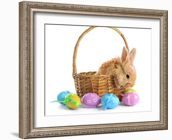 Fluffy Foxy Rabbit in Basket with Easter Eggs-Yastremska-Framed Photographic Print