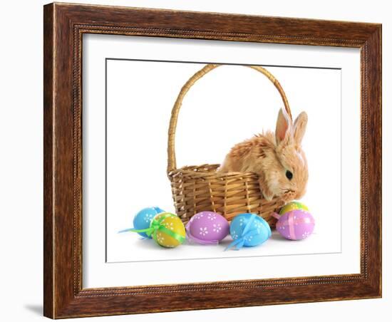 Fluffy Foxy Rabbit in Basket with Easter Eggs-Yastremska-Framed Photographic Print