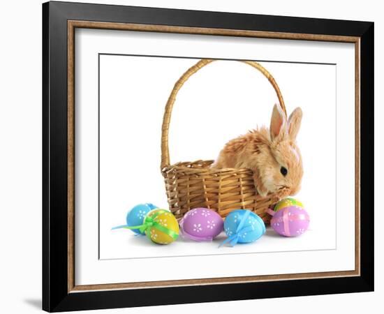 Fluffy Foxy Rabbit in Basket with Easter Eggs-Yastremska-Framed Photographic Print