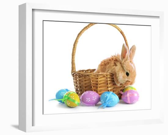 Fluffy Foxy Rabbit in Basket with Easter Eggs-Yastremska-Framed Photographic Print