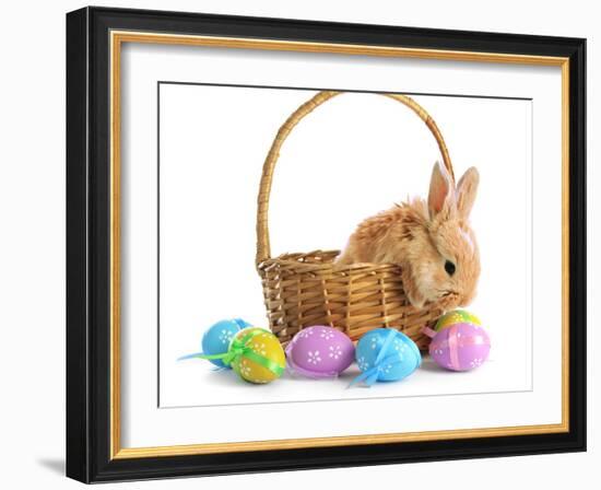 Fluffy Foxy Rabbit in Basket with Easter Eggs-Yastremska-Framed Photographic Print