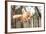 Fluffy Ginger Tabby Cat Walking on Old Wooden Fence-lkoimages-Framed Photographic Print