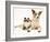 Fluffy Kitten Cuddled up with Dog-Jane Burton-Framed Photographic Print