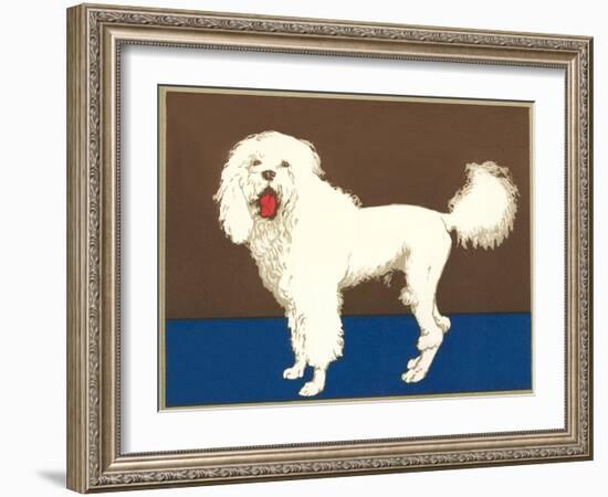 Fluffy White Dog-null-Framed Art Print