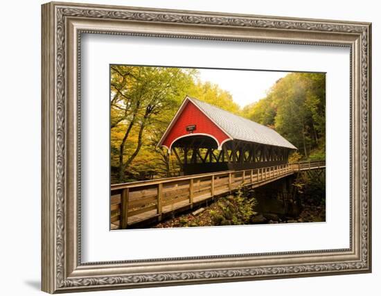 Flume Covered Bridge-Richard Wong-Framed Photographic Print