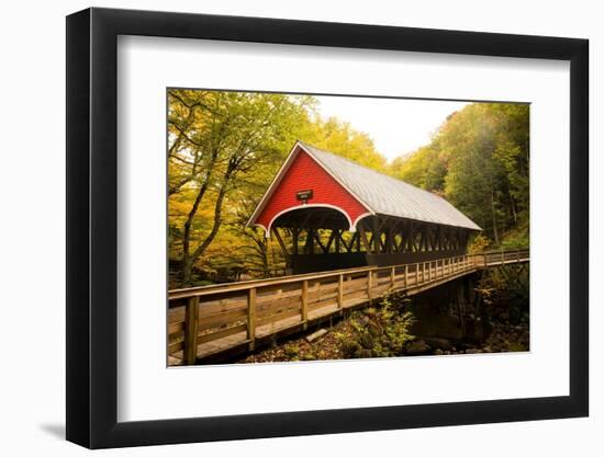 Flume Covered Bridge-Richard Wong-Framed Photographic Print