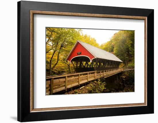 Flume Covered Bridge-Richard Wong-Framed Photographic Print