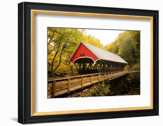 Flume Covered Bridge-Richard Wong-Framed Photographic Print