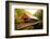 Flume Covered Bridge-Richard Wong-Framed Photographic Print