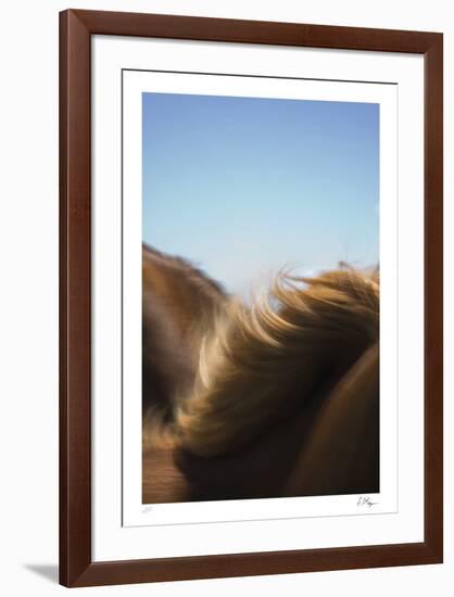 Flurry-Andrew Geiger-Framed Limited Edition