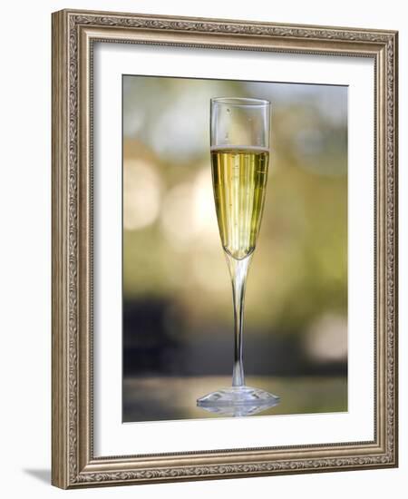 Flute of Champagne-Katano Nicole-Framed Photo