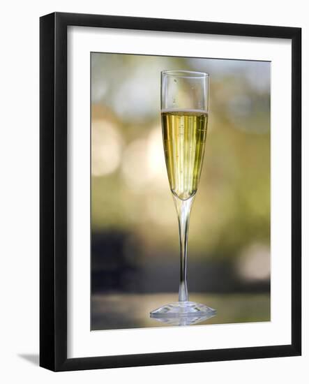 Flute of Champagne-Katano Nicole-Framed Photo